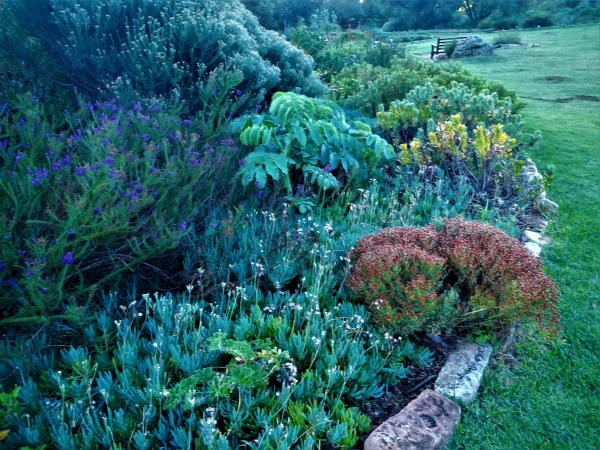 Ботанический Сад Kirstenbosch National Botanical Garden