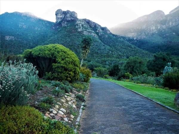 Ботанический Сад Kirstenbosch National Botanical Garden