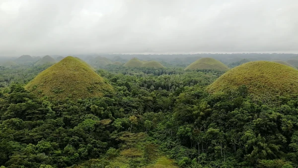 Chocolate Hills Lookout