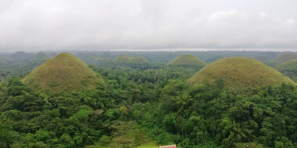 Chocolate Hills Lookout