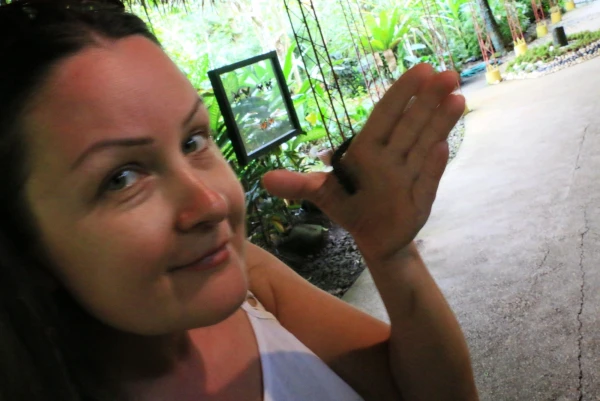 Bilar Butterfly Farm