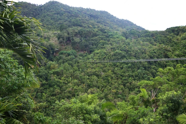 Зиплайн Loboc Eco-Tourism Adventure Park