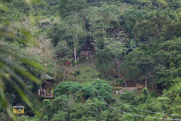 Зиплайн Loboc Eco-Tourism Adventure Park