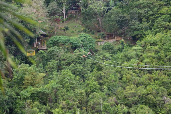 Зиплайн Loboc Eco-Tourism Adventure Park
