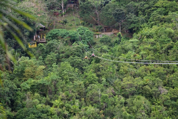 Зиплайн Loboc Eco-Tourism Adventure Park