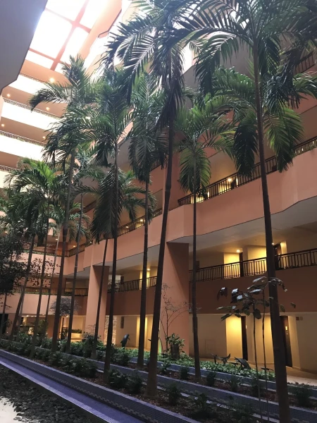 CasaMagna Marriott Puerto Vallarta Resort &amp; Spa 5*
