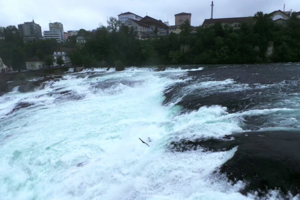 Рейнский водопад