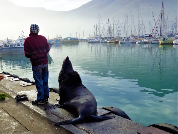HOUT BAY