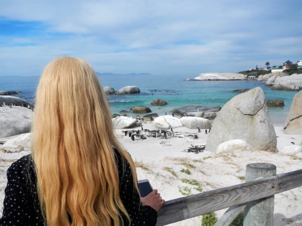 Boulders beach - пляж где живет колония пингвинов