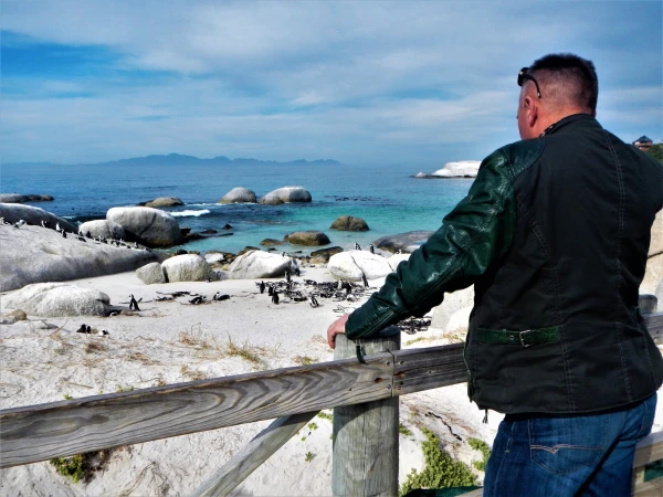 Boulders beach - пляж где живет колония пингвинов