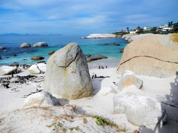 Boulders beach - пляж где живет колония пингвинов