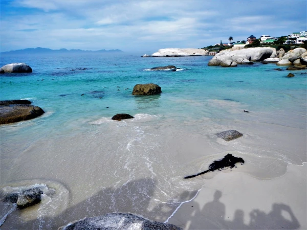 Boulders beach - пляж где живет колония пингвинов