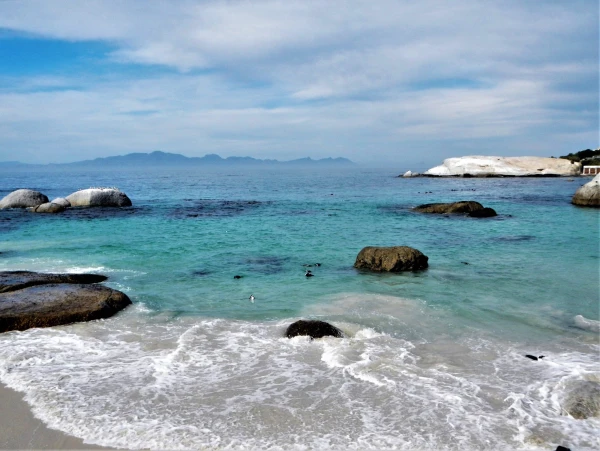 Boulders beach - пляж где живет колония пингвинов