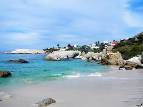 Boulders beach - пляж где живет колония пингвинов