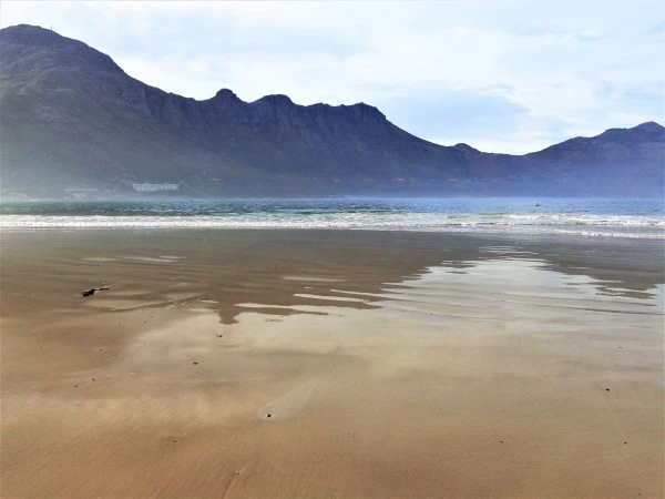 Boulders beach - пляж где живет колония пингвинов