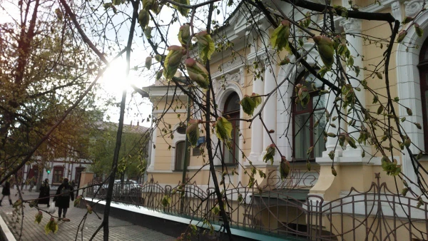 Особняк В.Н. Гадаловой.Красноярский государственный художественный музей им.В.И.Сурикова