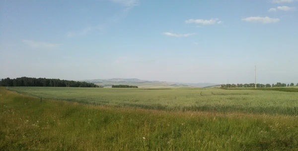 Сибирские просторы.Красноярский край