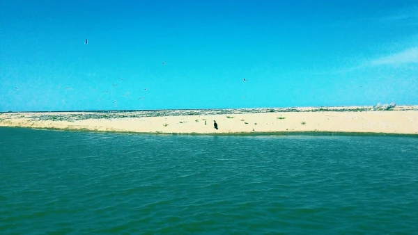 место впадения реки Камча в море