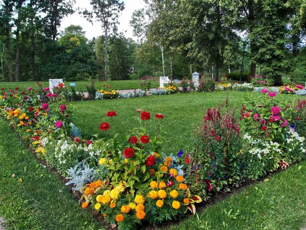 Цветник возле Дворца Петра III
