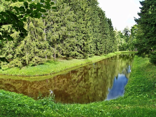 В Верхнем парке Ораниенбаума. 