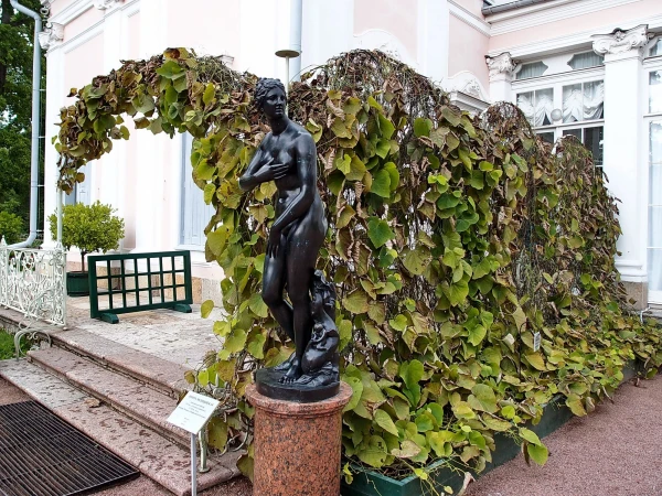 У входа во дворец