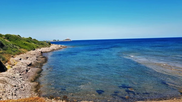 Прогулялась в сторону башни ди Нора