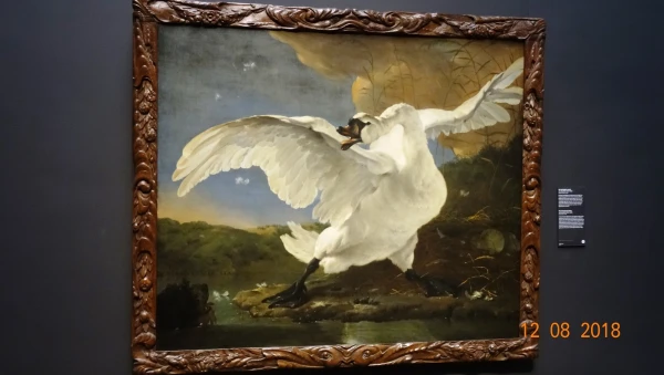 Rijksmuseum