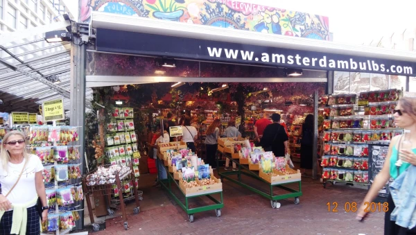 Прогулки по Амстердаму: Flowermarket на Монетной площади...