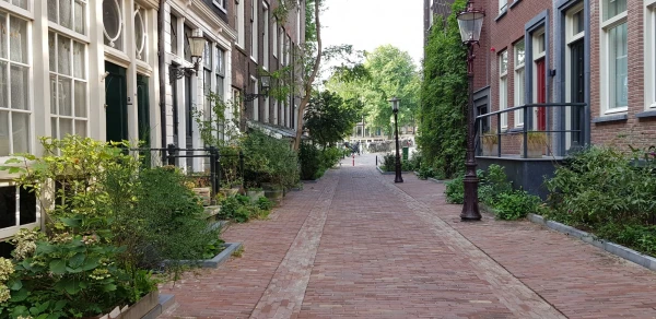 Продолжение прогулок по дамбе на Амстеле: Buiten Bantammerstraat... 