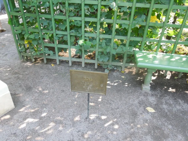 Летний сад