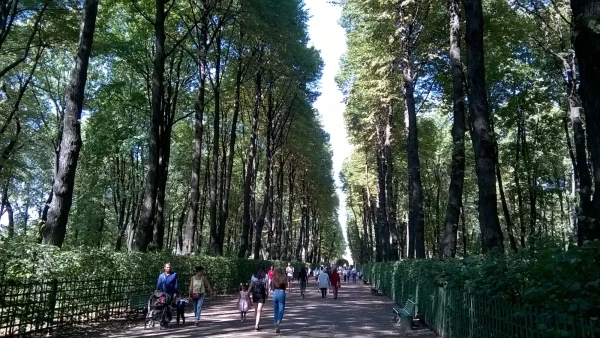 Летний сад