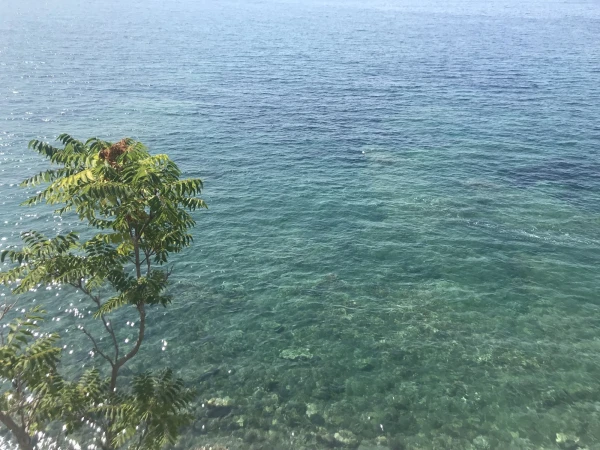 Будва