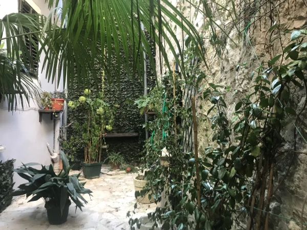 Улочками Котора