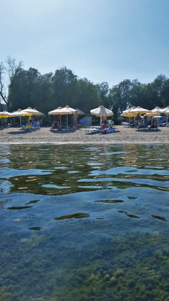 Дно каменистое, покрытое водорослями, похожими на мох