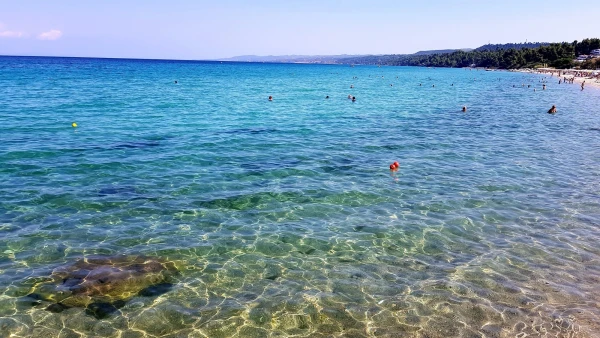 Водичка!!!