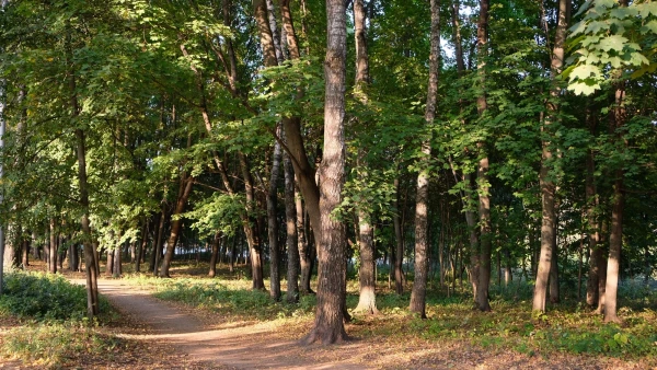 ЦПКиО им. П.П. Белоусова