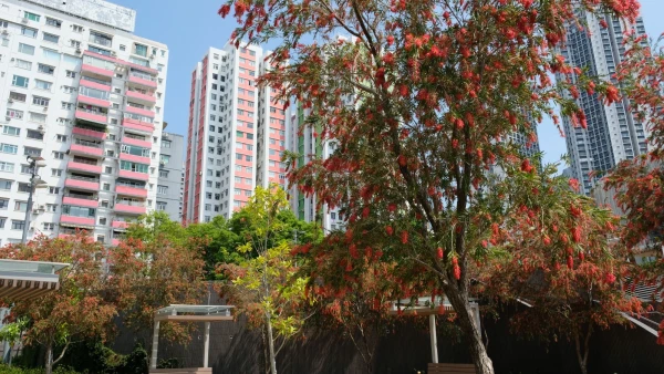 Парк недалеко от отеля в районе Forest Hill