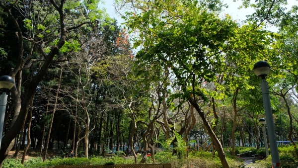 Парк недалеко от отеля в районе Forest Hill