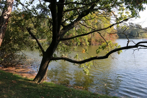 Лаксенбург