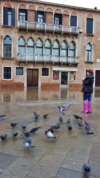 Acqua Alta ближе к 12 дня.