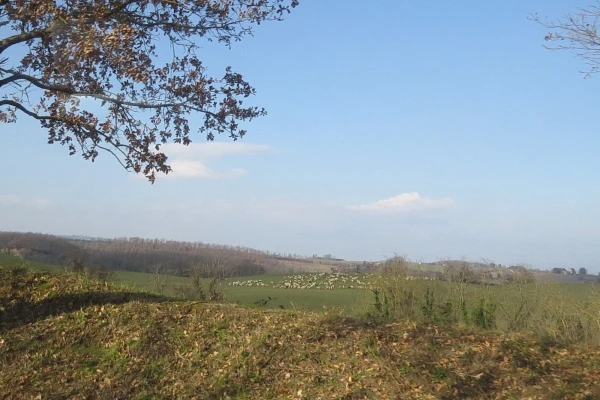 по дороге в Орвието