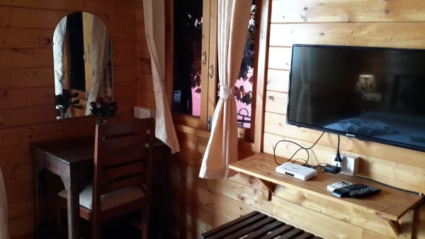 телевизор с 5ю российскими каналами. Смотреть, правда, некогда было