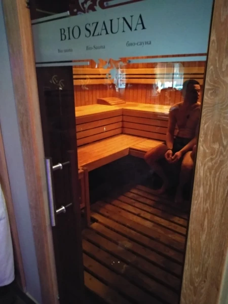 Сауны в Делибабе