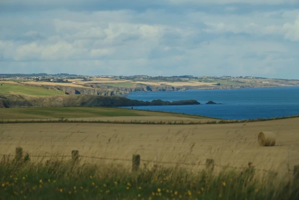 Дорога