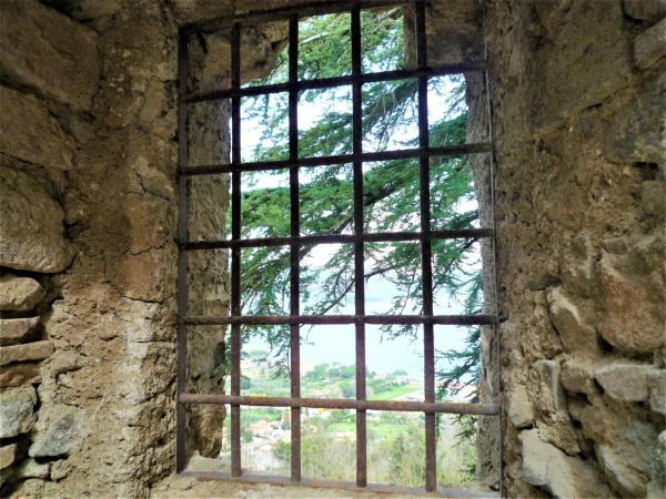 Castello Orsini-Odescalchi