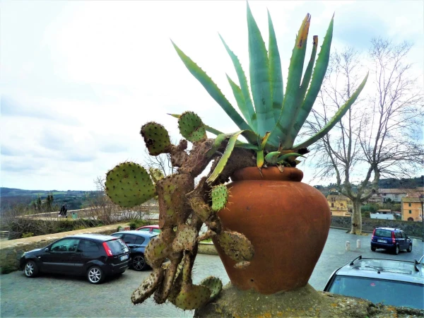 В городке Браччано