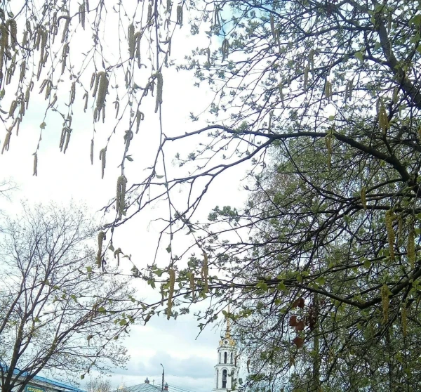 Весна в Шуе. 03.05.19