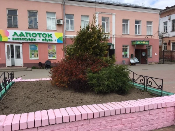 Шуя