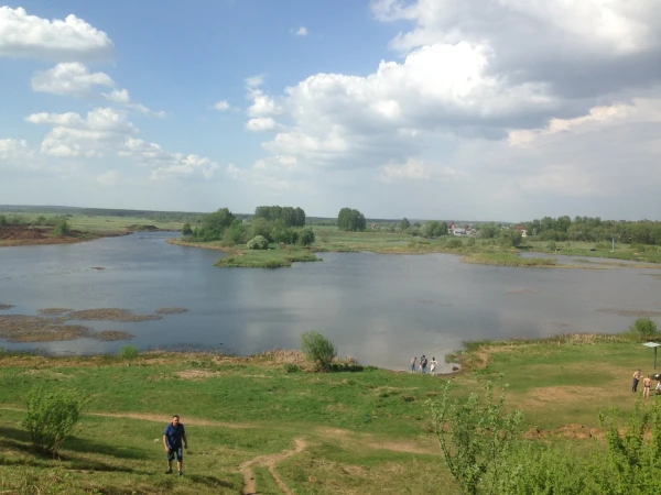 Живописная Теза