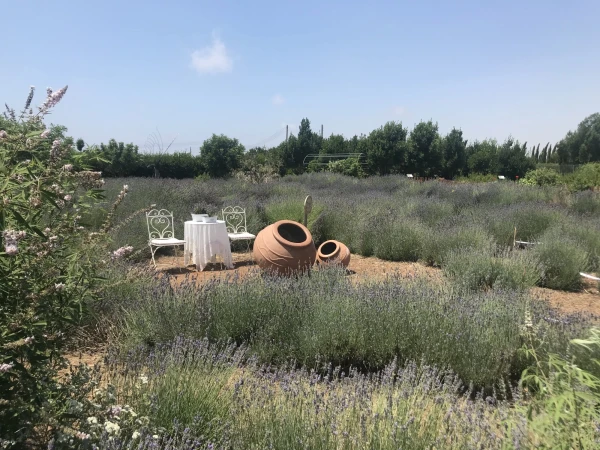 Cyherbia botanical park